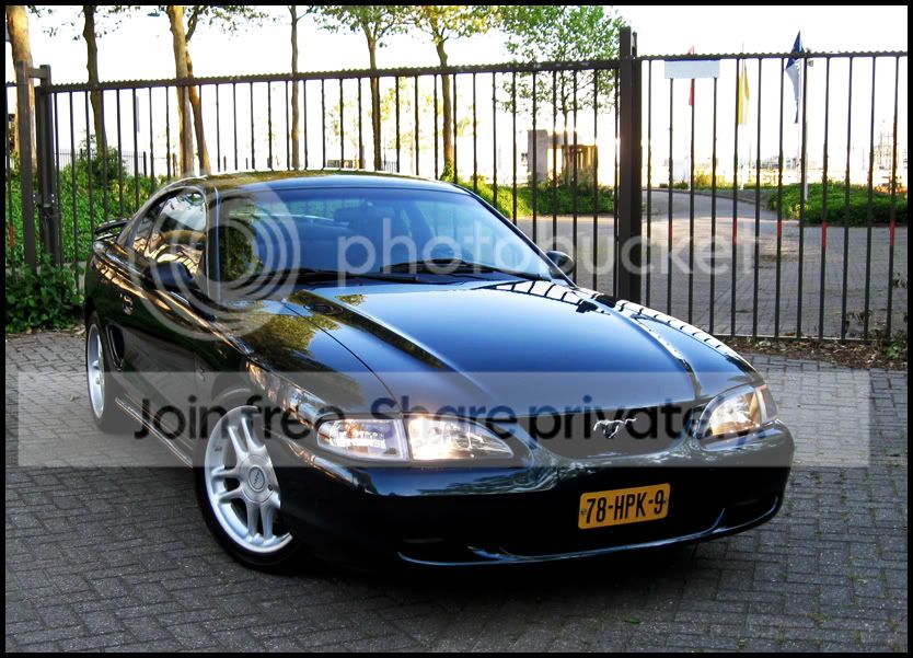 Afbeelding131.jpg