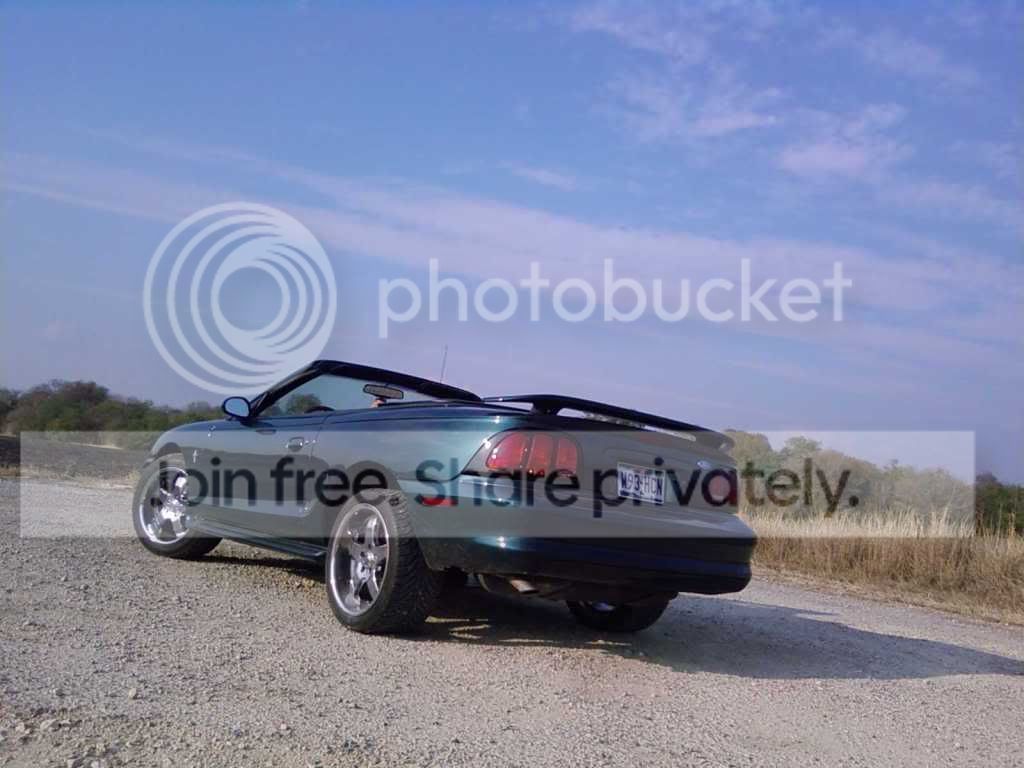 mystang1.jpg
