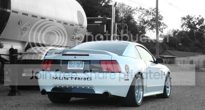 rear2-1.jpg