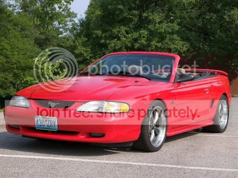 photodisplay.jpg
