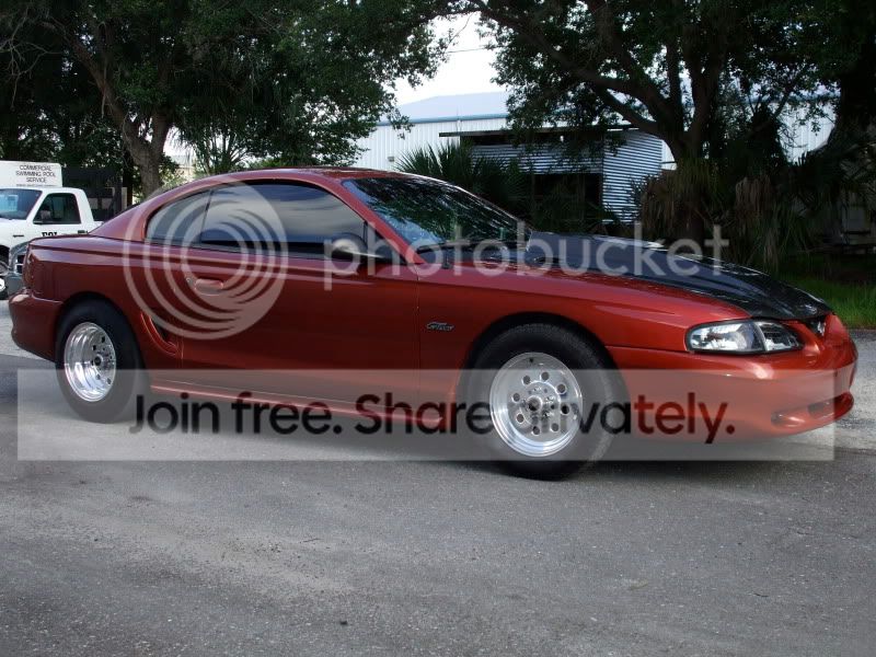 DSCF1798.jpg