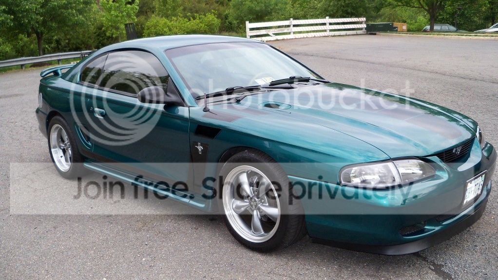 ZebMustang032.jpg