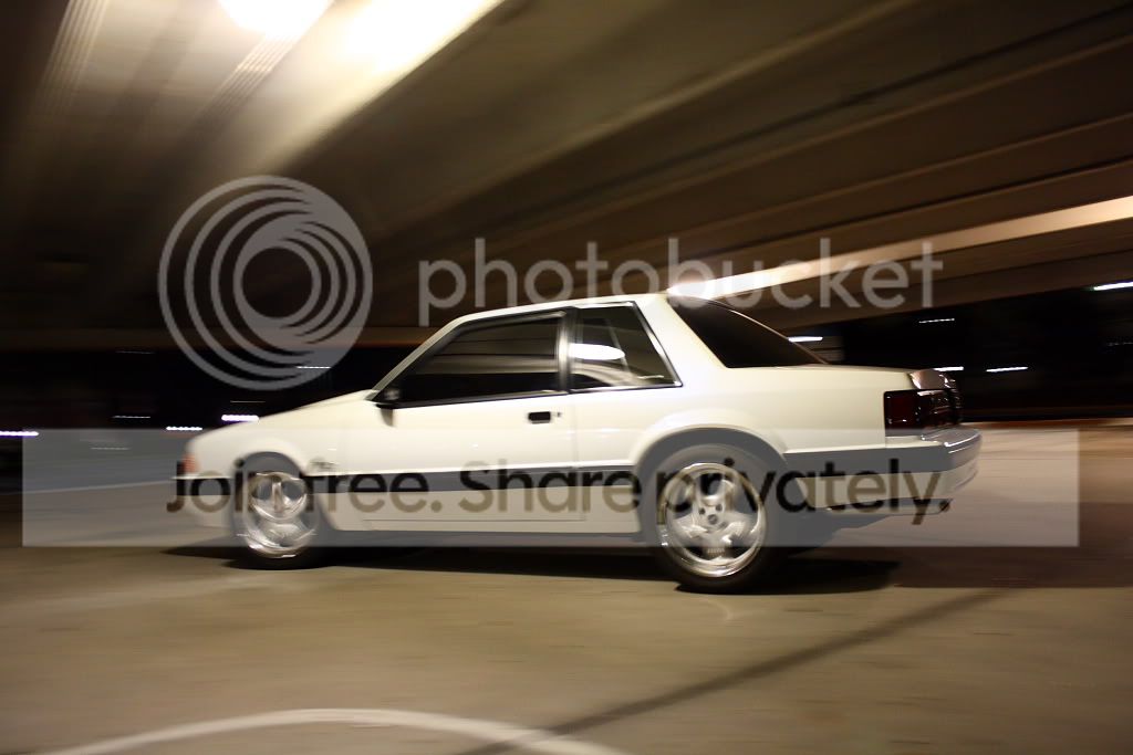 IMG_3567smaller.jpg