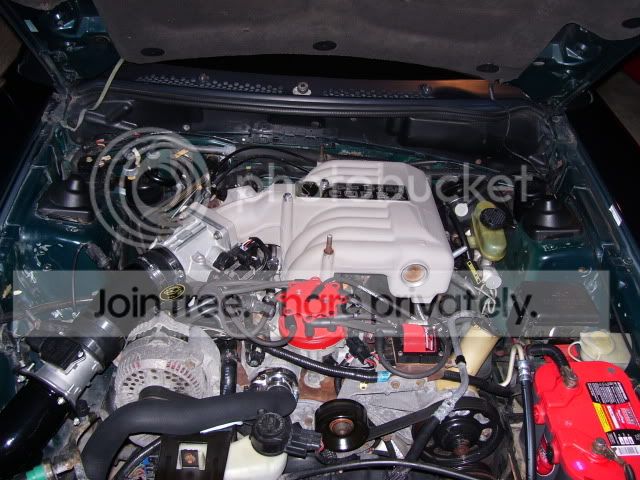 100_2531.jpg