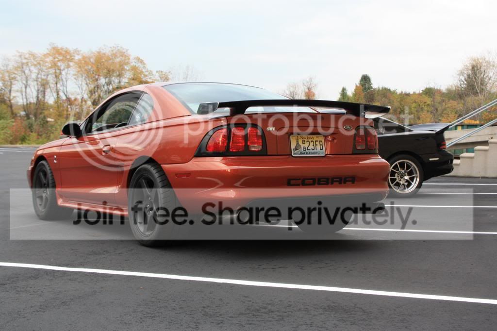 IMG_1772_zps4db2b2f8.jpg