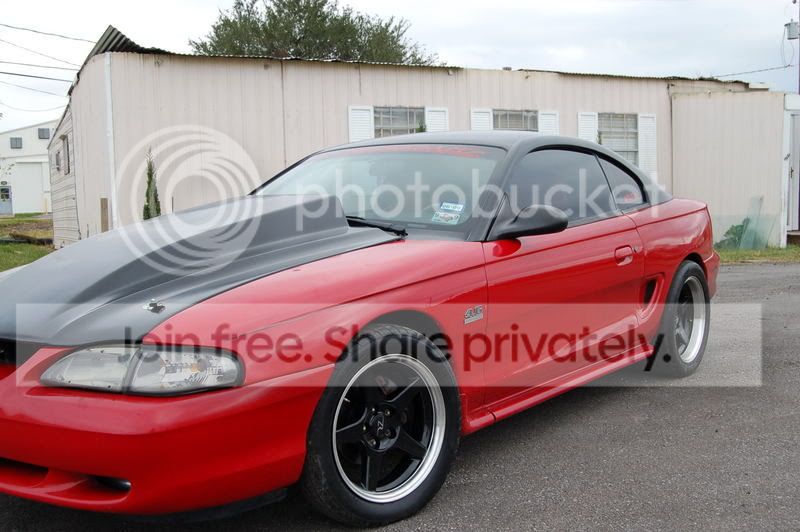 carpic22.jpg