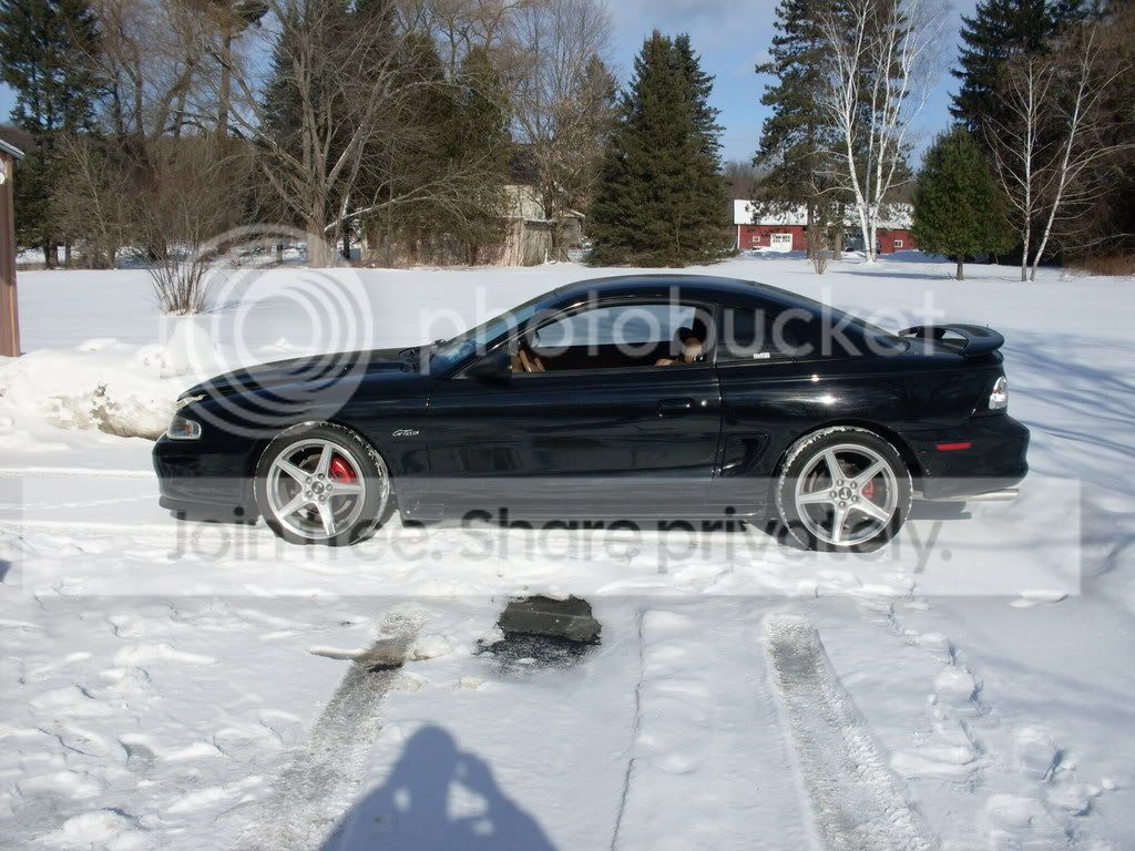 SDC10020.jpg