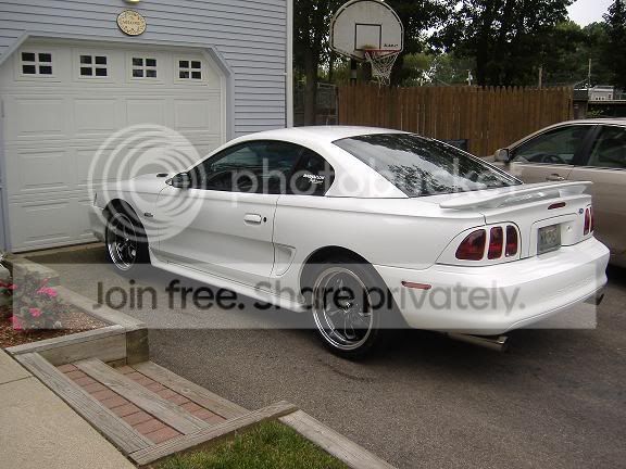 shelbywheels015.jpg