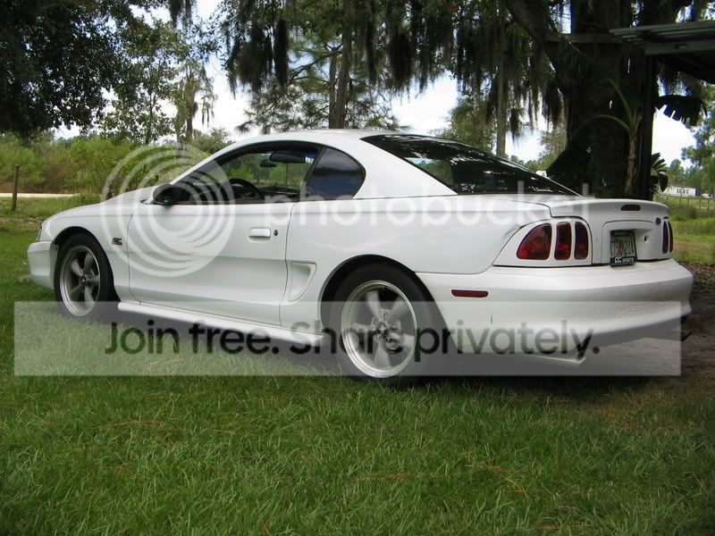 Wingless002.jpg