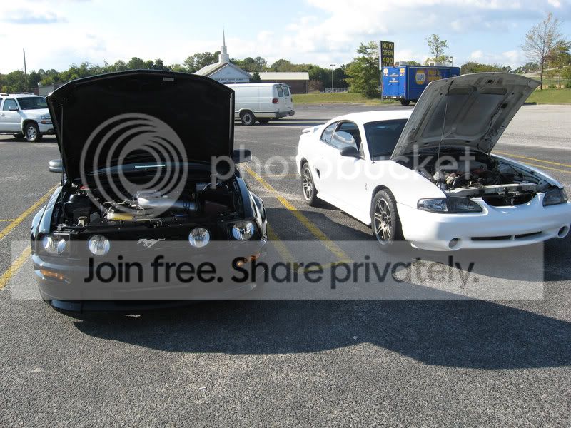 carshow4.jpg