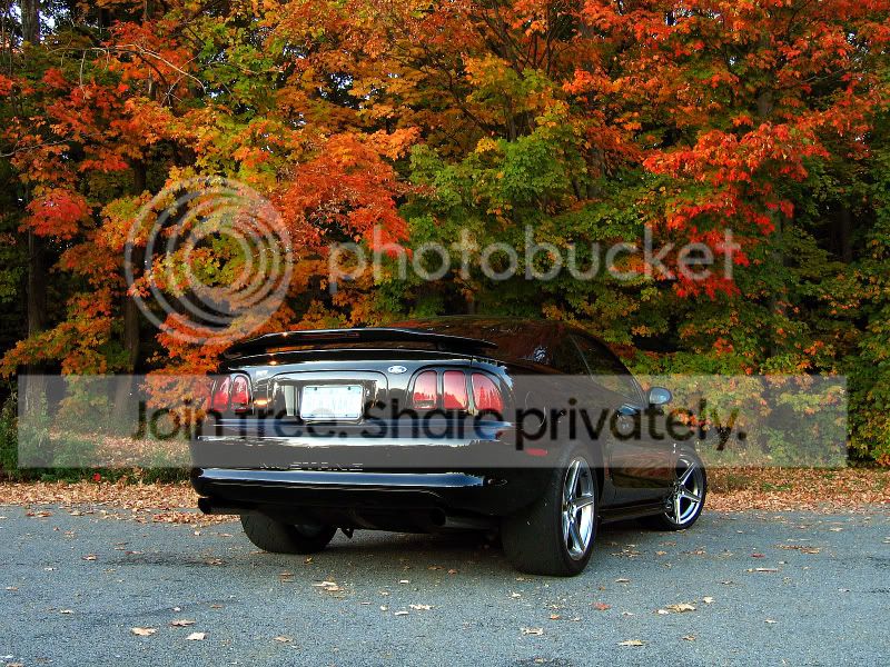 1995_Cobra_128_2.jpg