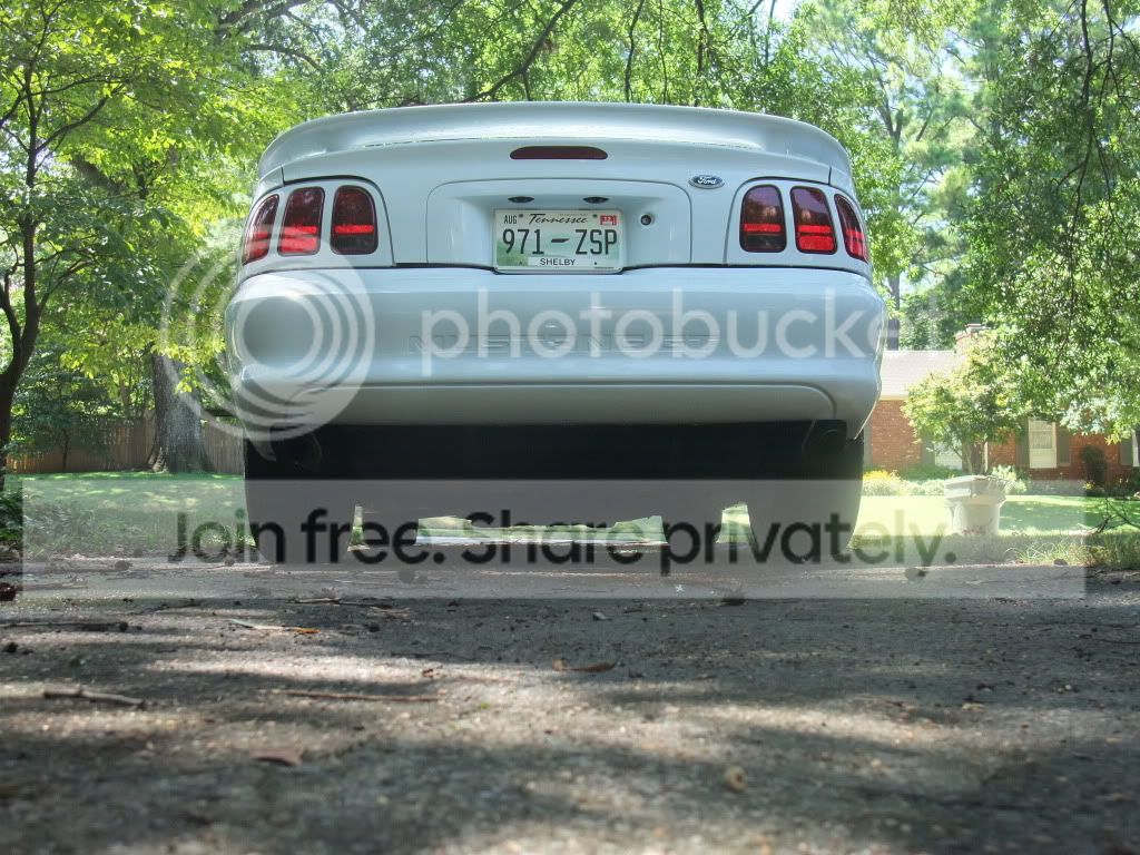 DSCF3595.jpg