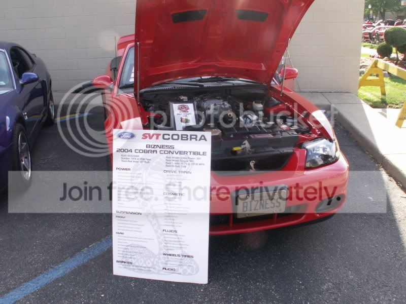 Mustangs028.jpg