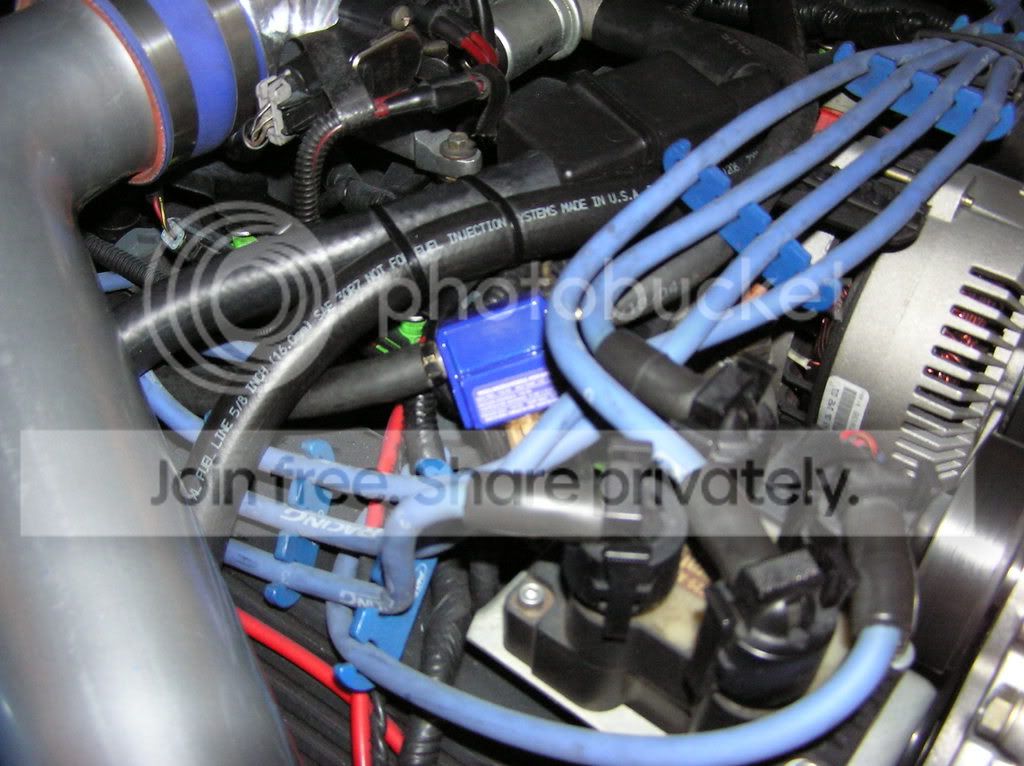pics017.jpg
