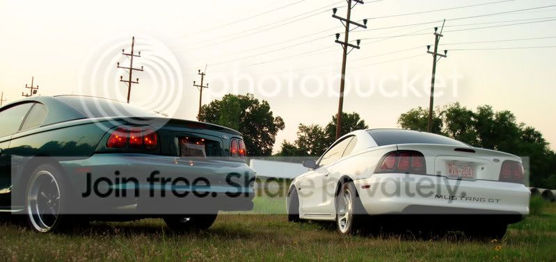 Rears.jpg