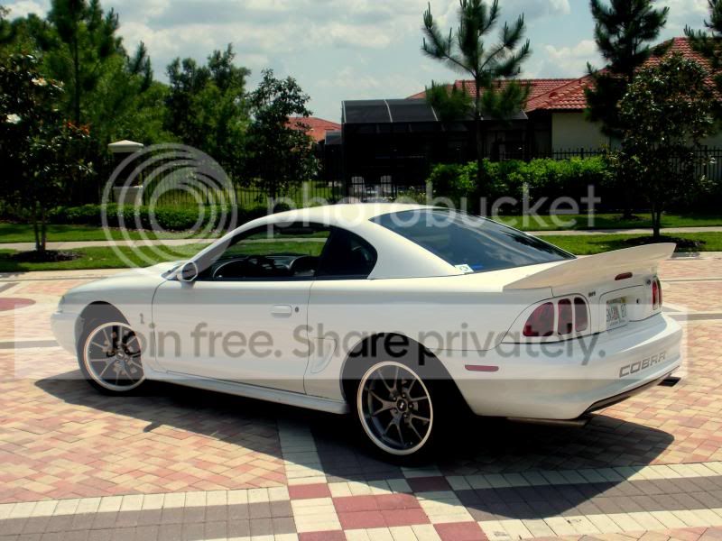 COBRA012.jpg