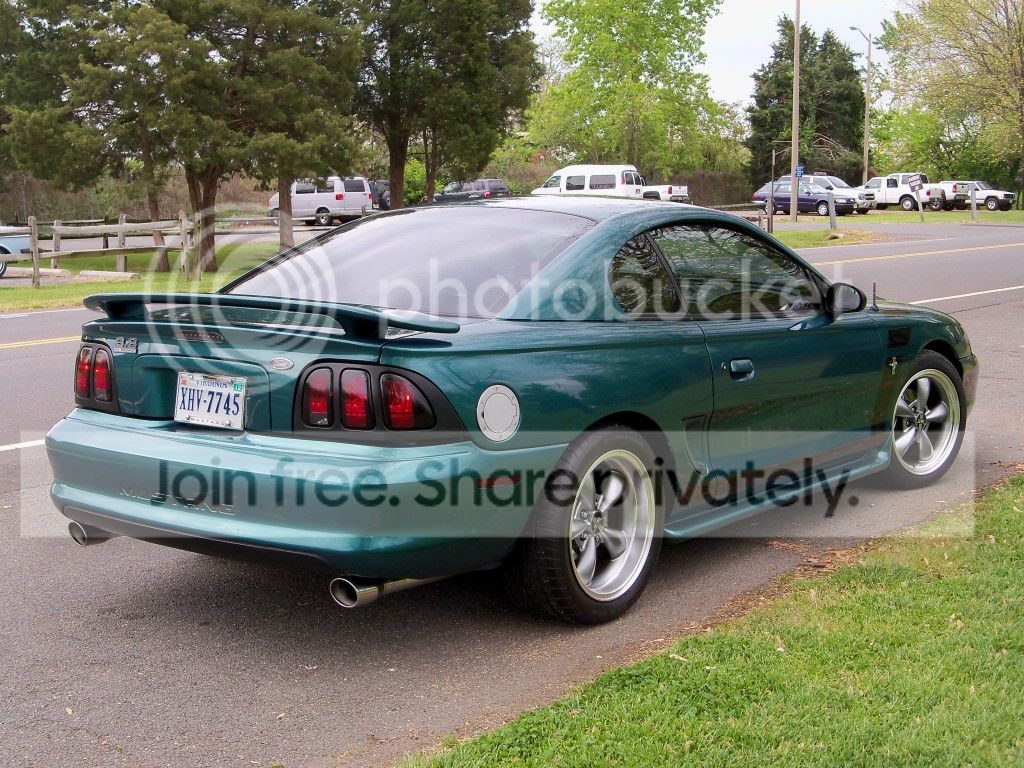 ZebMustang018.jpg