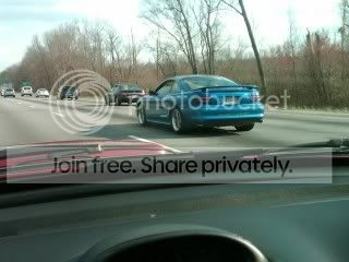 stang024.jpg