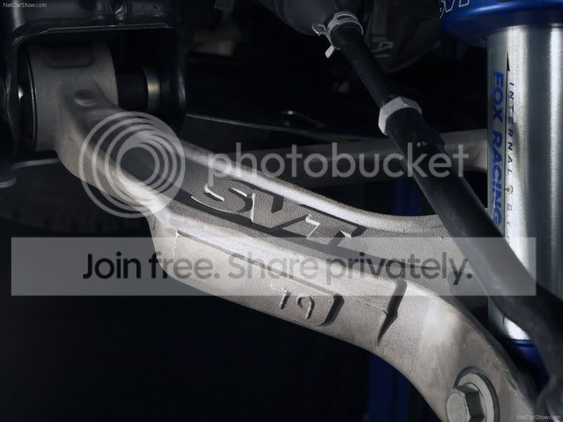 raptor42.jpg
