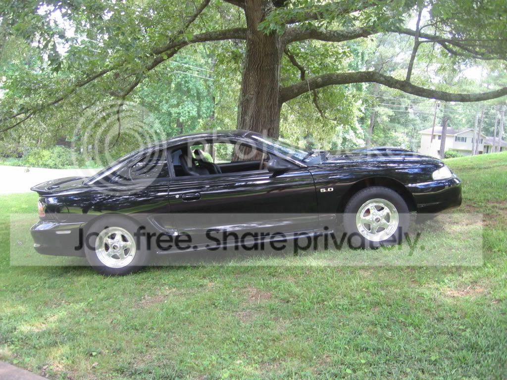 mustang.jpg
