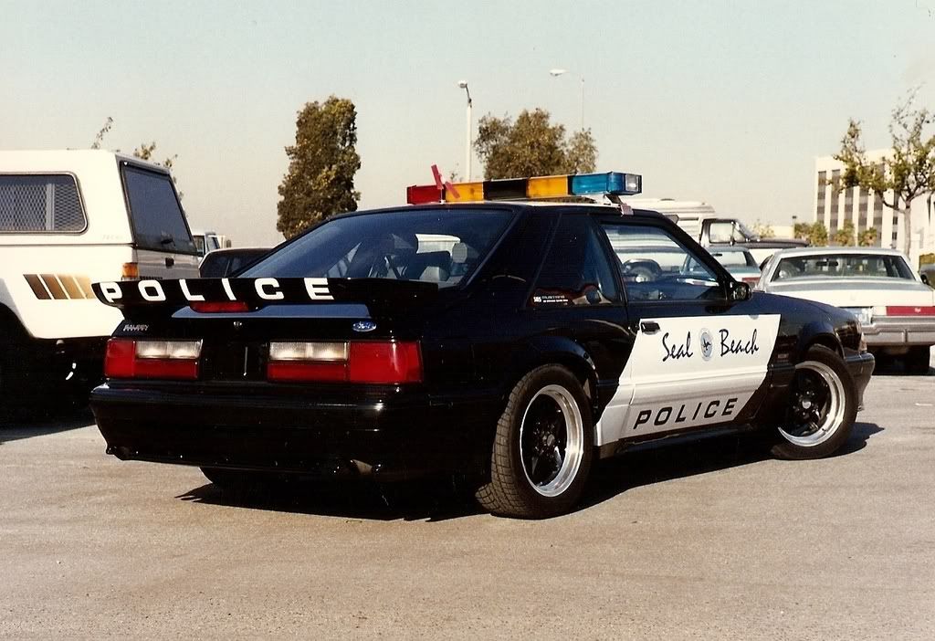 Saleen_Cop_Car.jpg