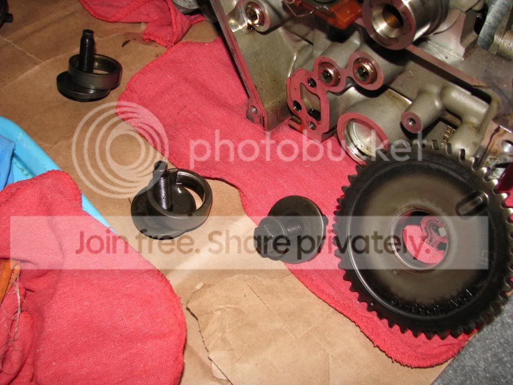 IMG_0066_zps69828a49.jpg