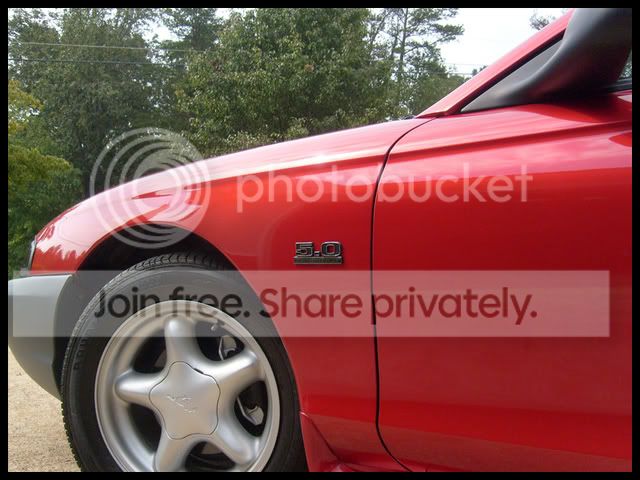 SellPictures001.jpg