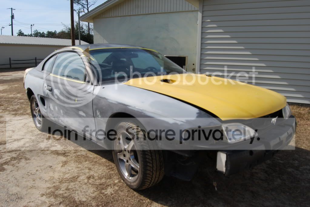 320.jpg