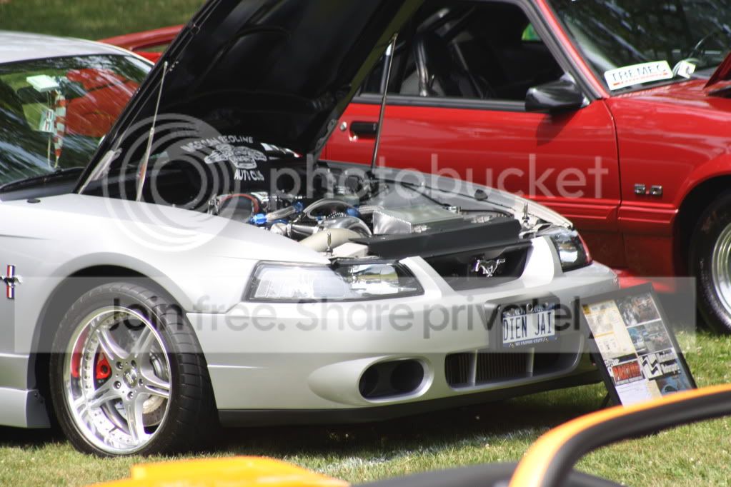 Picture056.jpg