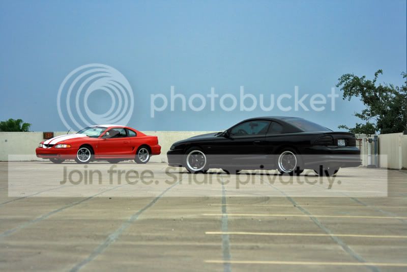 IMG_2546EDITED.jpg