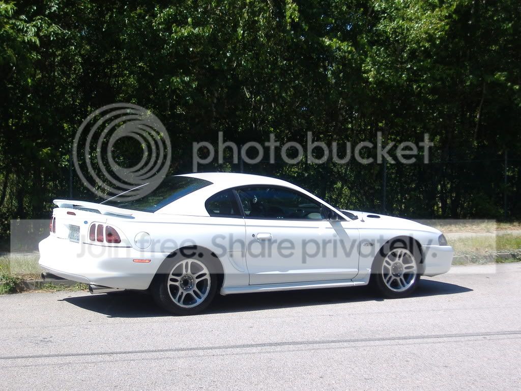 mustang024.jpg