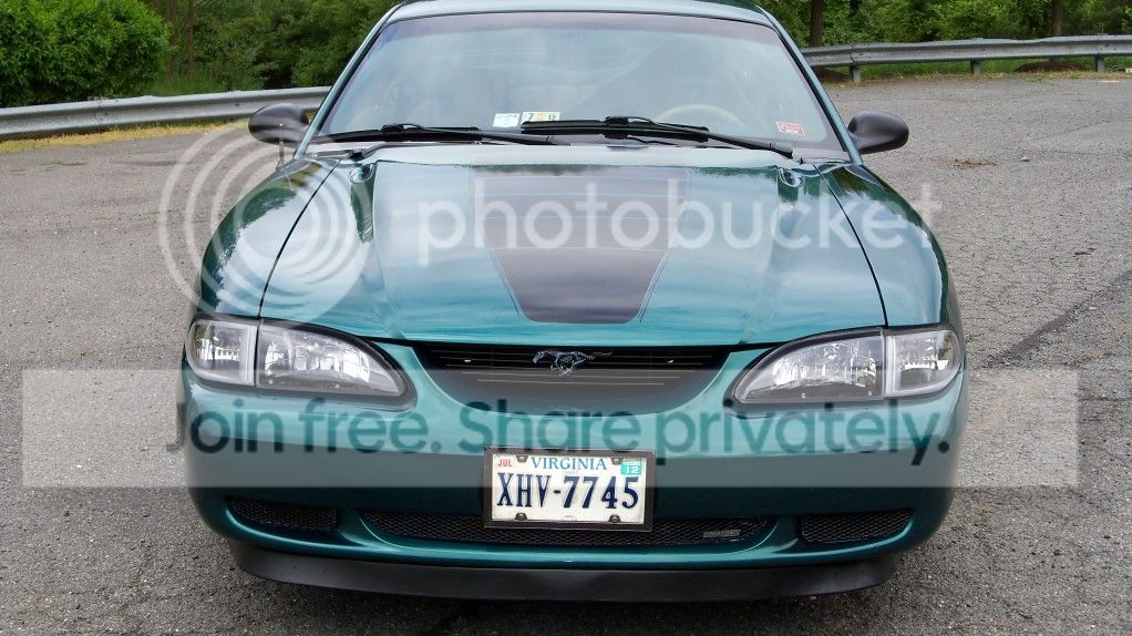 ZebMustang030.jpg