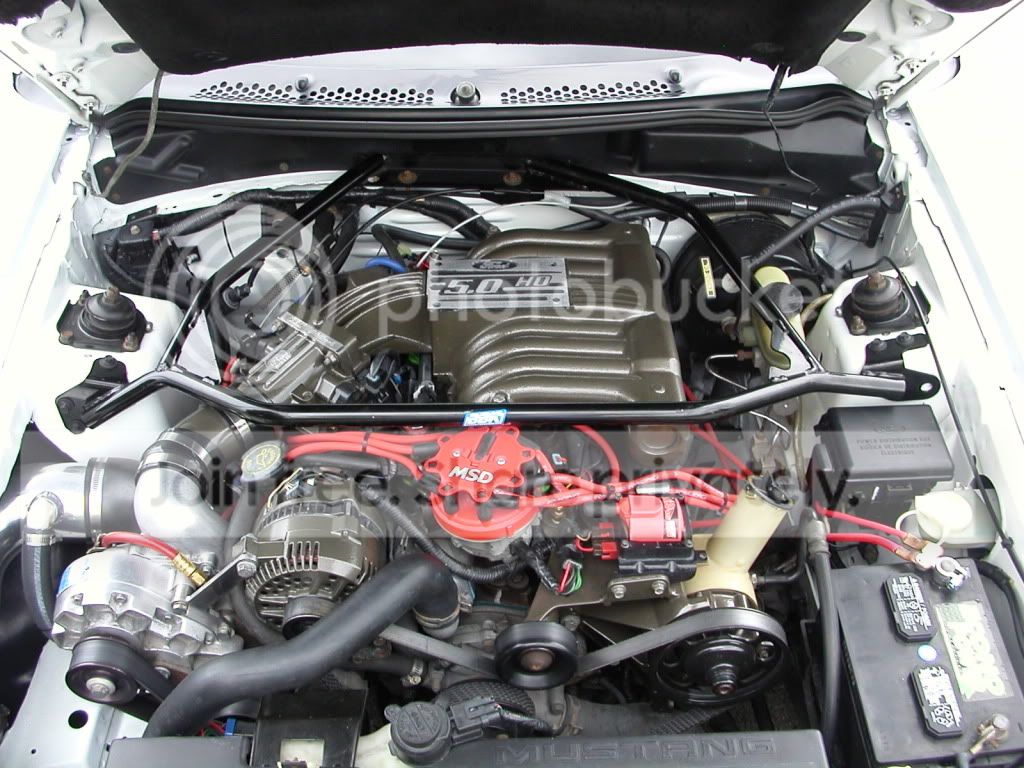 DSCN2894.jpg