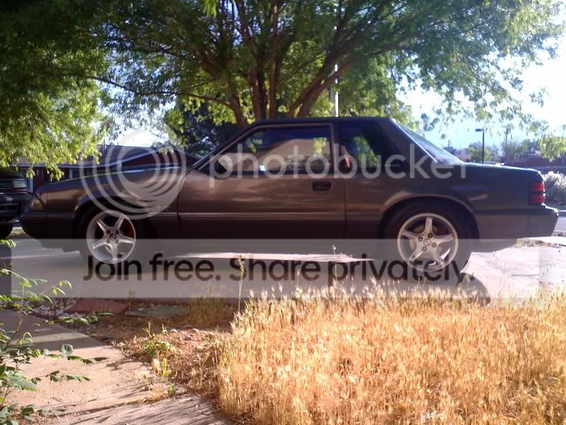 photoside3.jpg