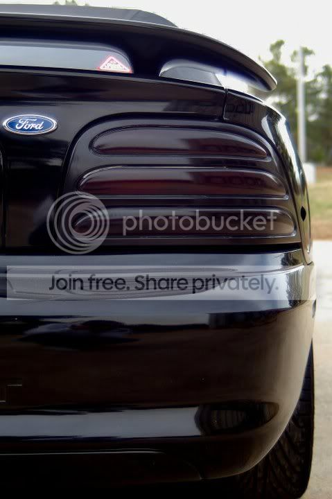 stang11.jpg