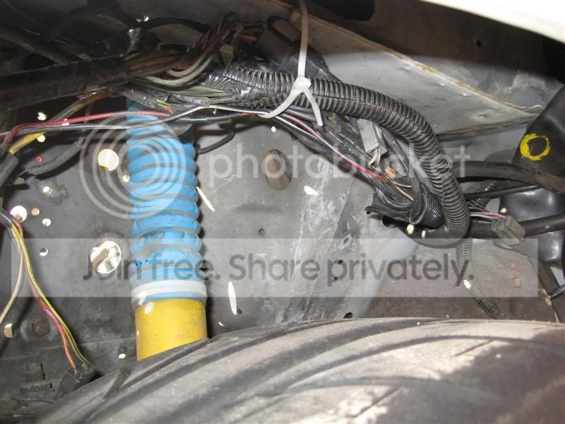 IMG_1181Medium.jpg