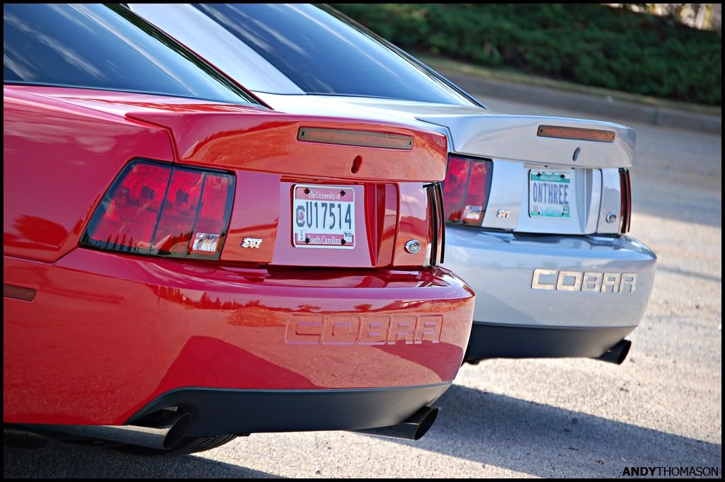 Mustangshoot15.jpg