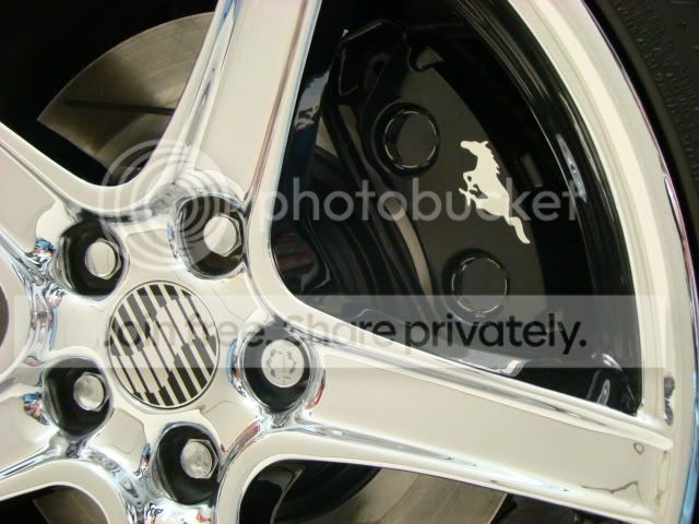 DSC00043.jpg