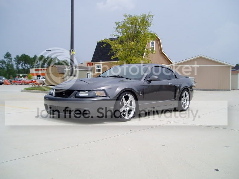 myfav03dsg-1.jpg