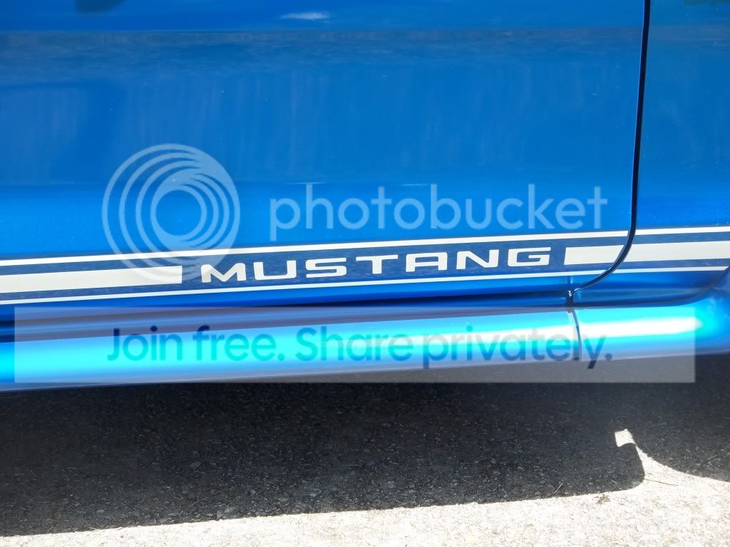 stang019.jpg