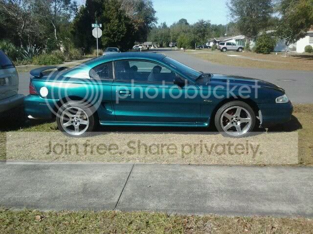 mustang2.jpg