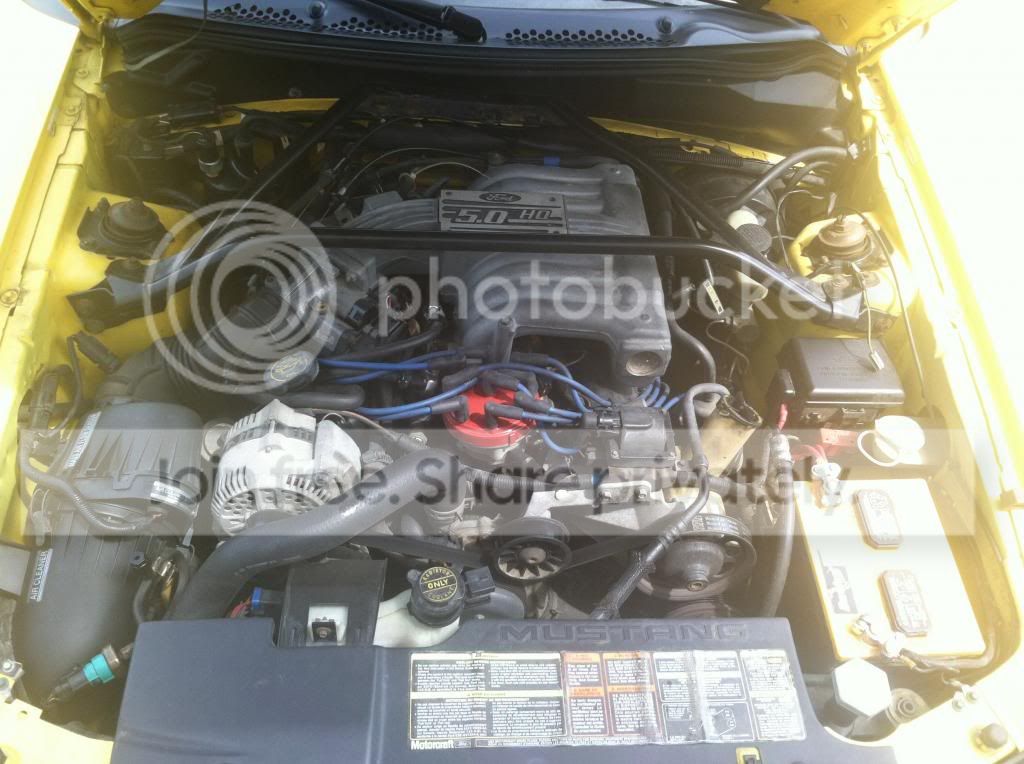 image_zps566843d3.jpg