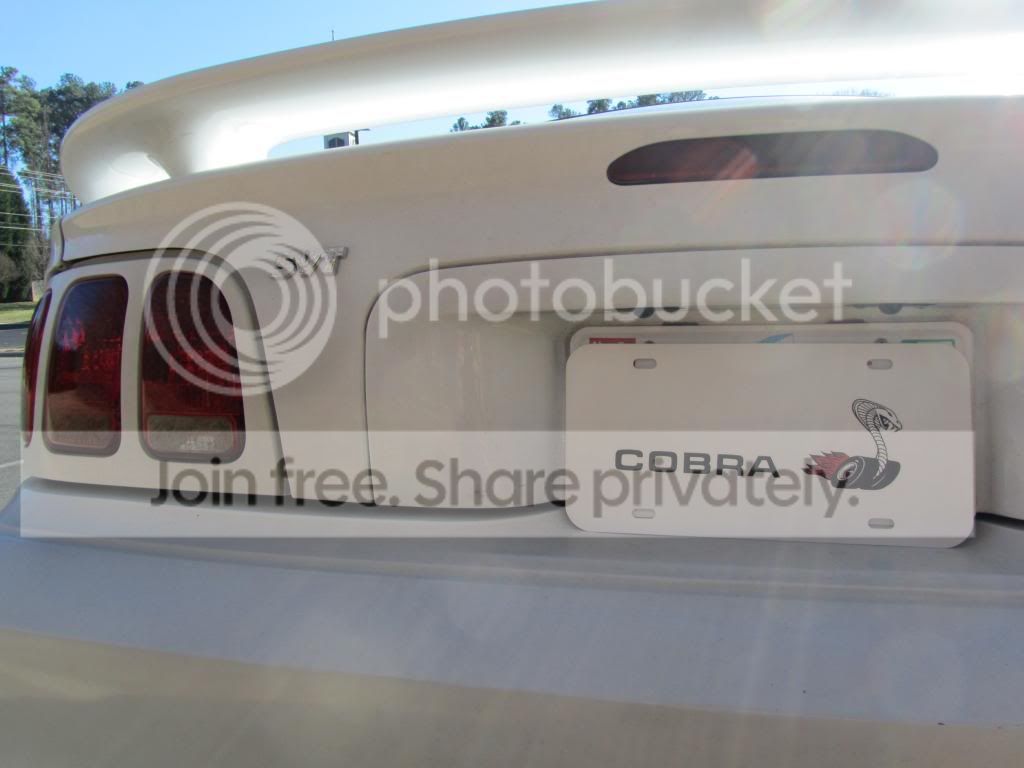 IMG_0041_zps7b91c508.jpg