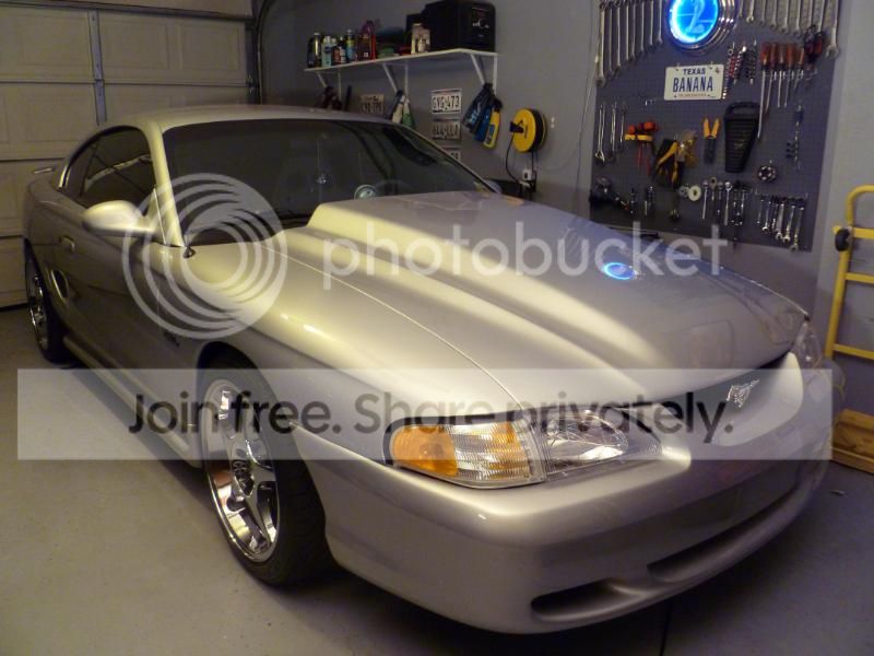 P1010076_zpsb5a2bc6a.jpg