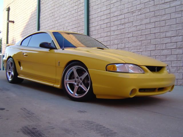 yellowcobra2.jpg