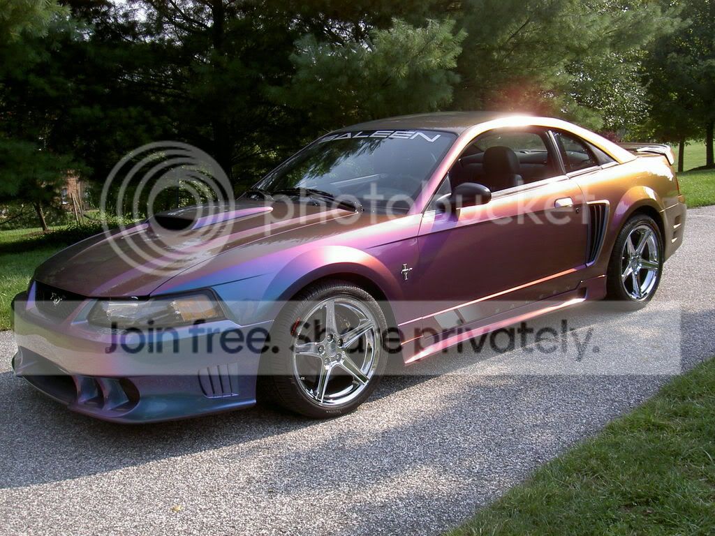 saleen.jpg