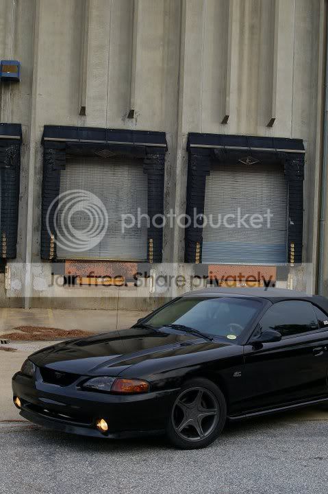 Stang5-1.jpg