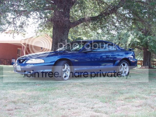 Mustang013.jpg