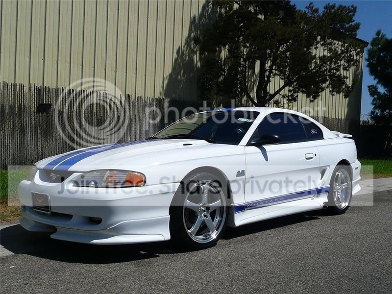 White%20Roush.jpg