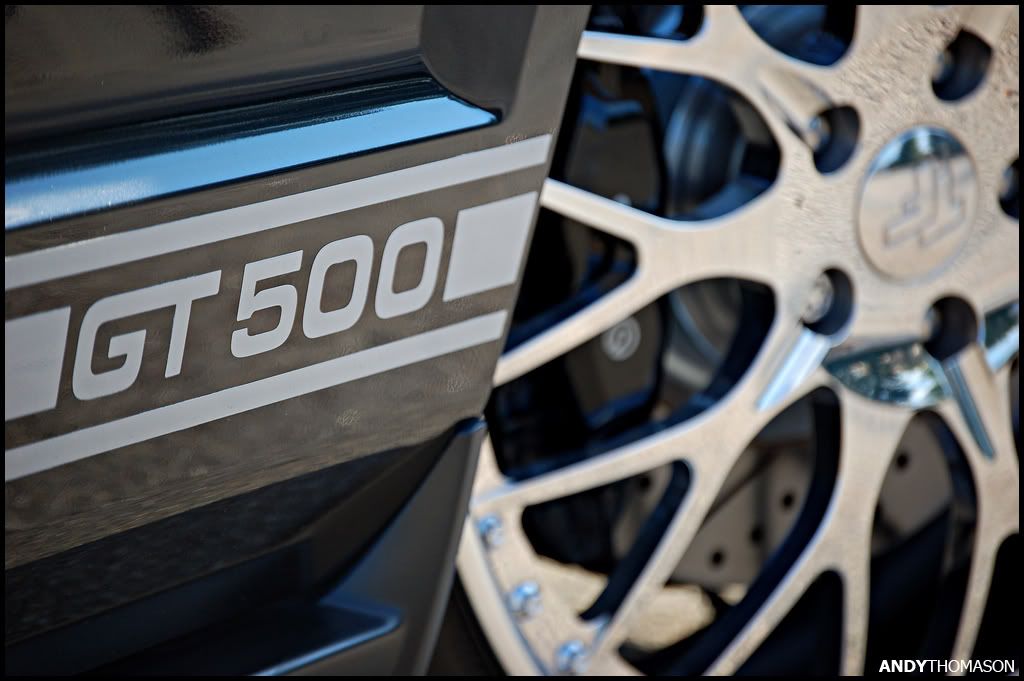 Mustangshoot24.jpg